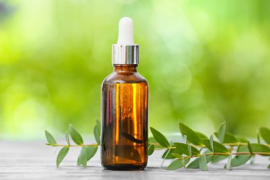 Bir şişe gerekli yağ ve yeşil dal açık havada, yakın plan.