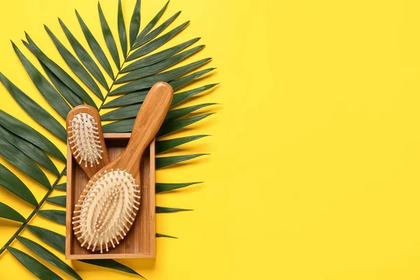 Box Hair Brushes Palm Leaf Color Background — Stock Photo, Image