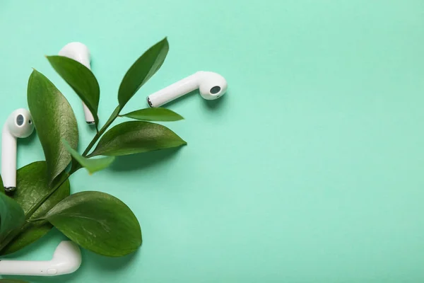 Modern earphones with case and green branch on color background, closeup