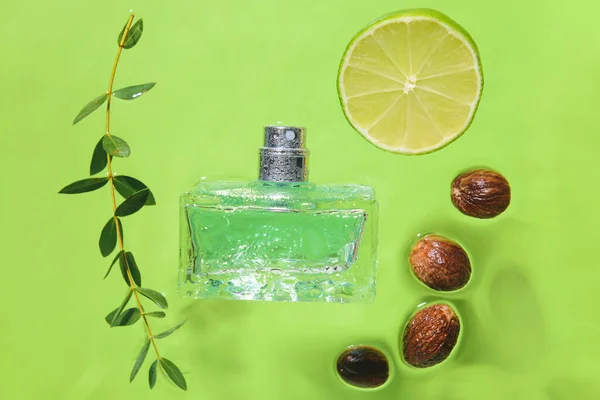 Bottle Perfume Lime Green Branch Walnuts Water Color Background — Stock Photo, Image