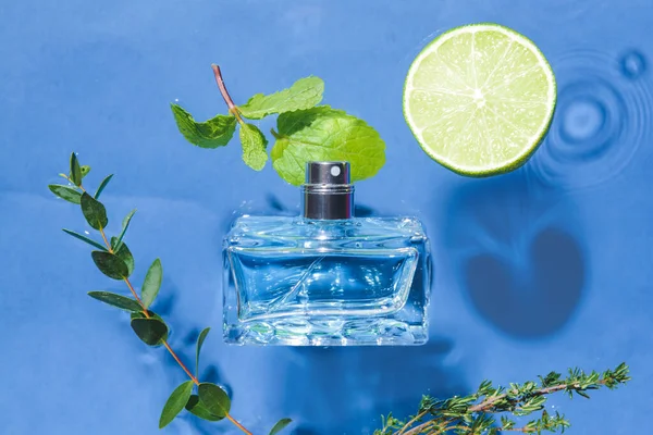 Bottle Perfume Lime Mint Green Branches Water Color Background Closeup — Stock Photo, Image