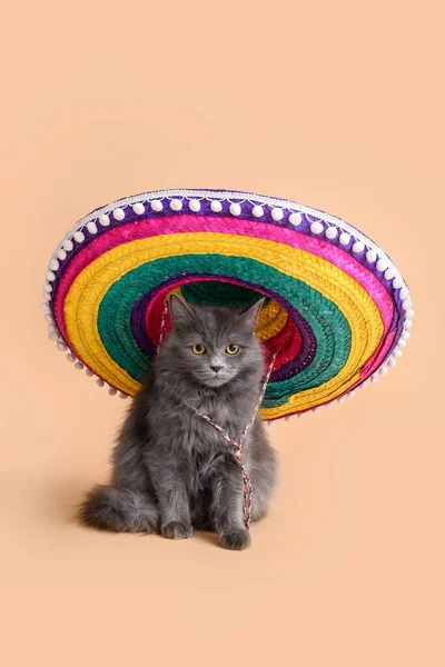 Roztomilý Kočka Sombrero Barevném Pozadí — Stock fotografie