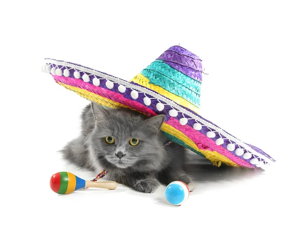 Leuke Kat Met Sombrero Maracas Witte Achtergrond — Stockfoto