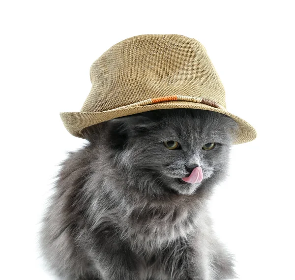 배경의 모자를 귀여운 고양이 — 스톡 사진