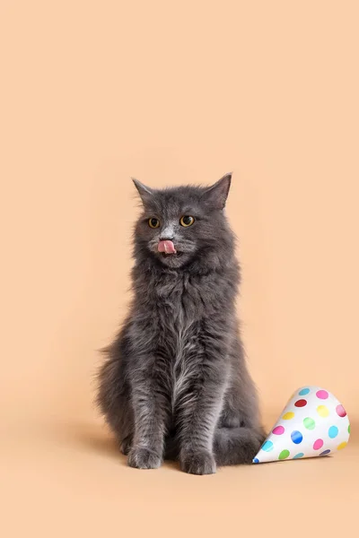 Niedliche Katze Mit Party Hut Auf Farbigem Hintergrund — Stockfoto