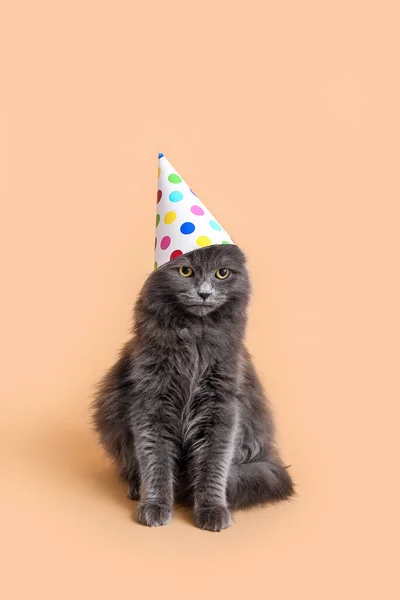 Cute cat in party hat on color background