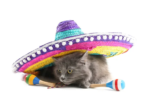 Söt Katt Med Sombrero Och Maracas Vit Bakgrund — Stockfoto
