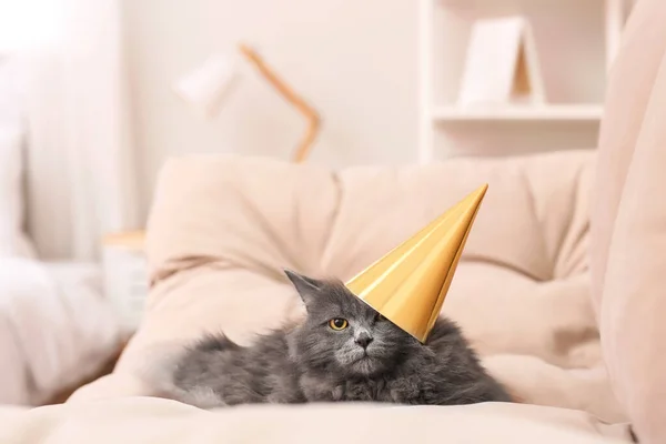 Милая Кошка Шляпе Вечеринок — стоковое фото
