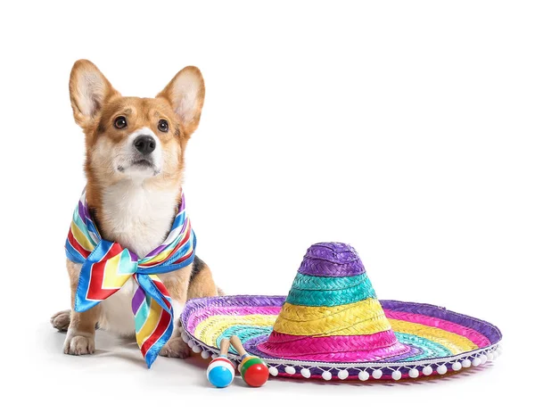 Söt Hund Med Sombrero Och Maracas Vit Bakgrund — Stockfoto