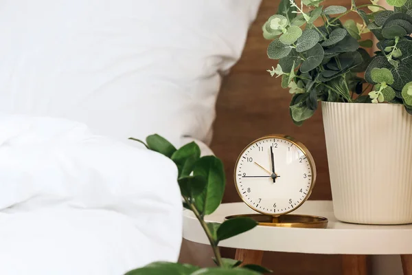 Alarm Clock Houseplant Bedside Table — Stock Photo, Image