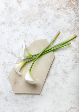 Açık arkaplanda güzel zambaklar