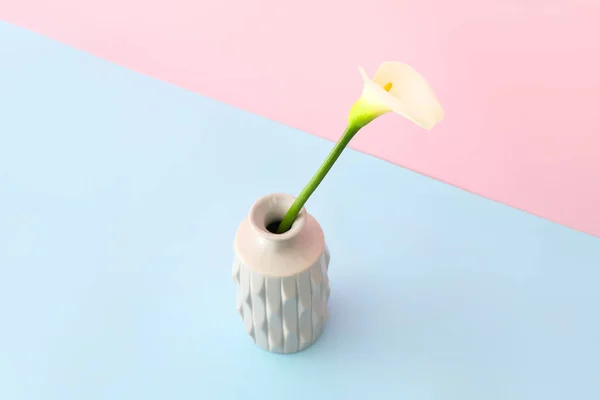 Vase Avec Beau Lys Calla Sur Fond Couleur — Photo
