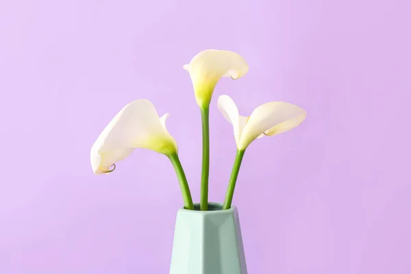 Vase Beautiful Calla Lilies Color Background — Stock Photo, Image