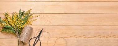 Güzel mimoza dalları, makas ve ipliklerle ahşap zemin üzerinde metin için alanı olan.