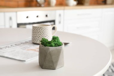 Mutfak masasında yeşil yosunlu tencere.