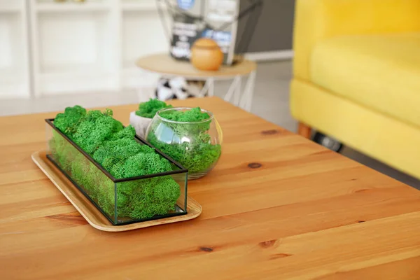 Dekoratives Grünes Moos Auf Dem Tisch Zimmer — Stockfoto
