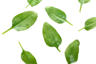 Beyaz arkaplanda uçan ıspanak yaprakları