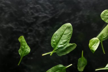 Koyu arkaplanda uçan ıspanak yaprakları