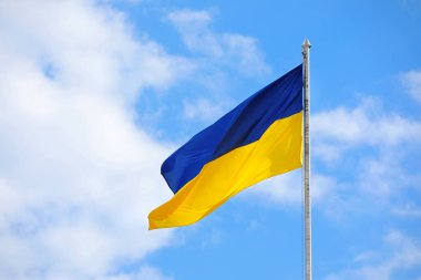 Ukrayna 'nın ulusal bayrağını sallayarak