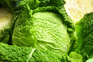 Arka plan olarak taze savoy lahanası, yakın plan