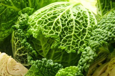 Arka plan olarak taze savoy lahanası, yakın plan
