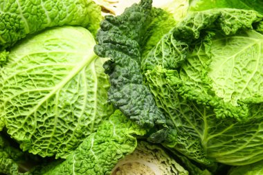 Arka plan olarak taze savoy lahanası, yakın plan