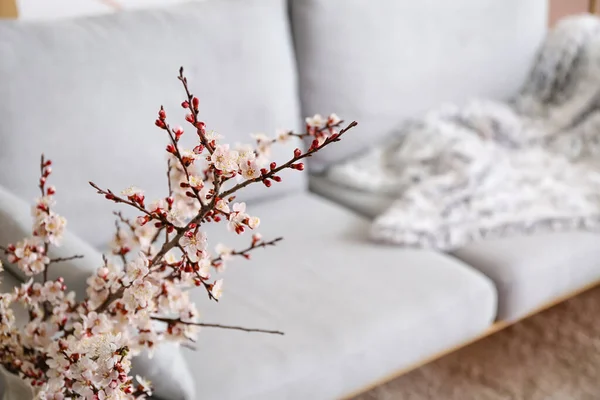 Beautiful Blossoming Branches Room — Stock Photo, Image