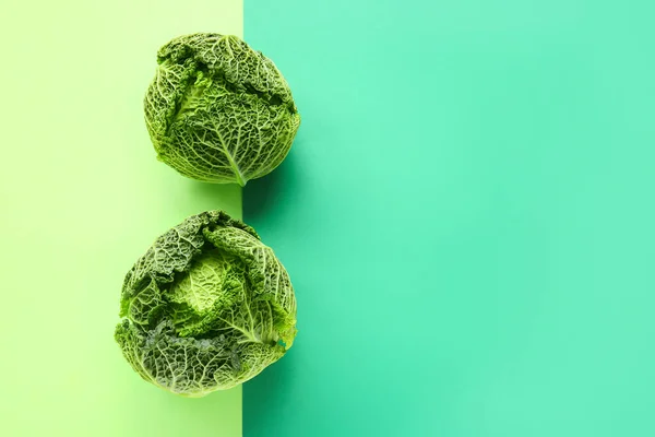 Fresh Savoy Cabbage Color Background — Stock Photo, Image