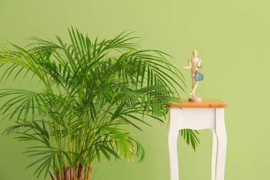 Masanın üzerinde anahtarı olan bir manken ve renkli duvarın yanında bir bitki.