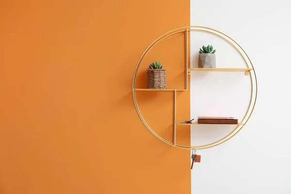 Book Shelf Houseplants Key Hanging Color Wall — Stock Photo, Image