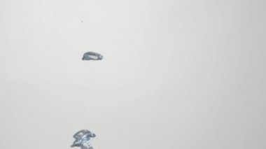 Bubbles in clear water, closeup