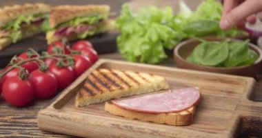 Woman making tasty sandwich, closeup