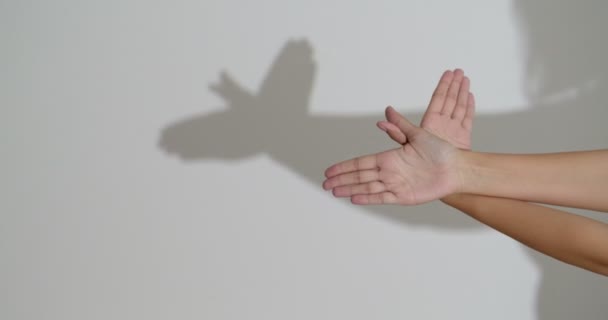 Woman Making Shadow Bird Her Hands — Αρχείο Βίντεο