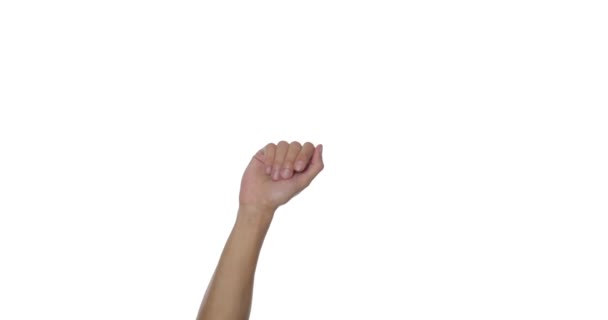 白い背景に男性の手を振る — ストック動画