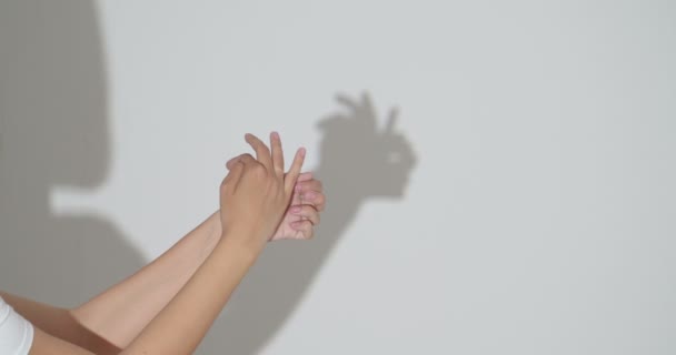 Mujer Joven Realizando Juego Sombras — Vídeo de stock