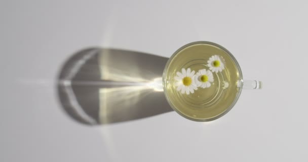 Glass Cup Tasty Chamomile Tea Light Background Top View — Stok video