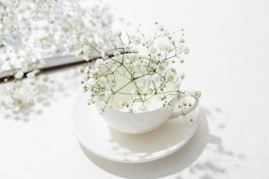 Işık masasında güzel çikila çiçekleri olan bir fincan.