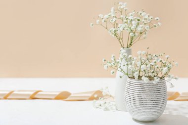 Renk duvarının yanındaki ışık masasında güzel çingene çiçekleri olan vazolar.