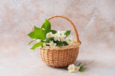 Arkaplanda yasemin çiçekleri olan sepet.