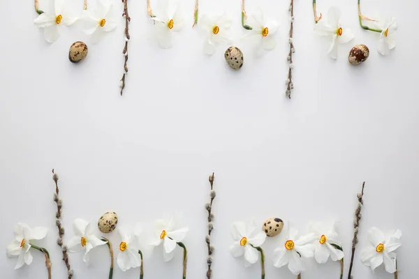 Beautiful Daffodils Quail Eggs White Background — Zdjęcie stockowe
