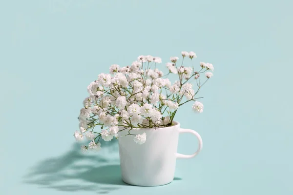 Cup Beautiful Gypsophila Flowers Color Background — Stock Photo, Image