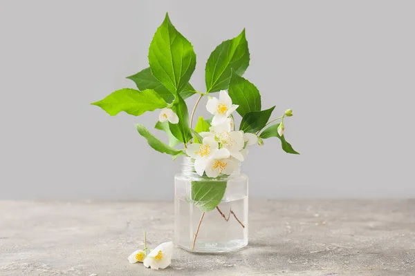 Jar Beautiful Jasmine Flowers Grey Background — Stock Photo, Image