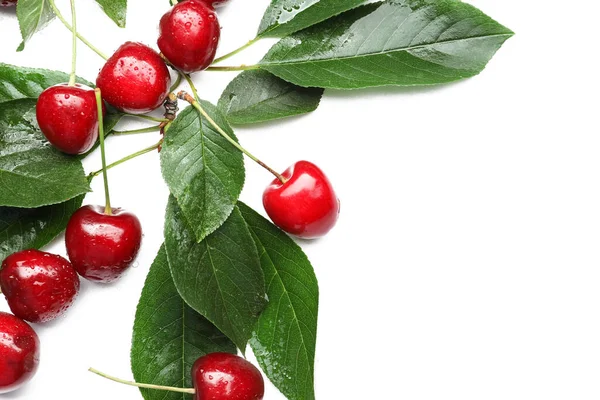 Tasty Ripe Cherries Water Drops White Background — Stock Photo, Image