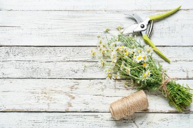 Güzel papatya çiçekleri, mezhepçiler ve hafif ahşap arka planda ip.