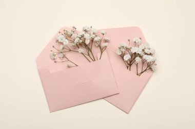 Renk arkaplanındaki güzel gypthe çiçekleri ve zarflar