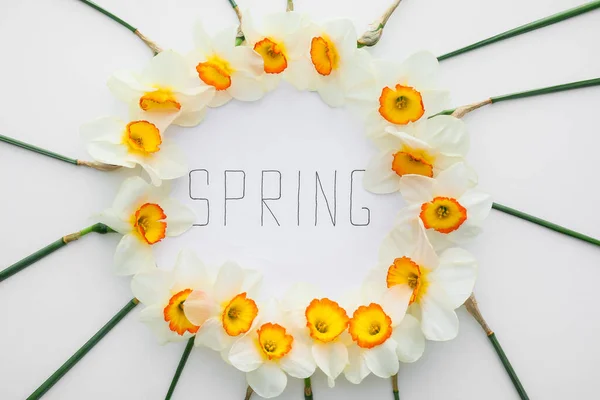 Papier Vel Met Woord Spring Mooie Narcissen Lichte Achtergrond — Stockfoto