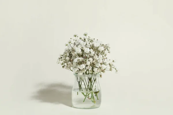 Vase Beautiful Gypsophila Flowers Color Background — Stock Photo, Image