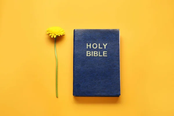 Holy Bible and flower on color background