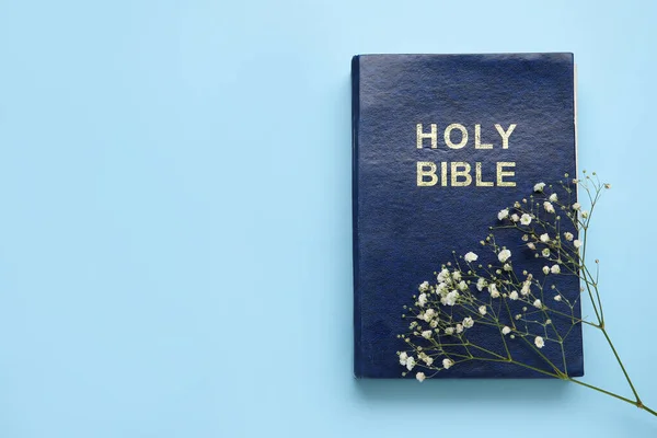 Holy Bible and flowers on color background
