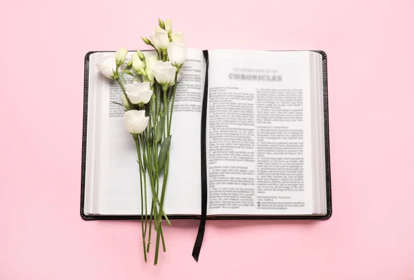 Bible Svatá Květiny Barevném Pozadí — Stock fotografie